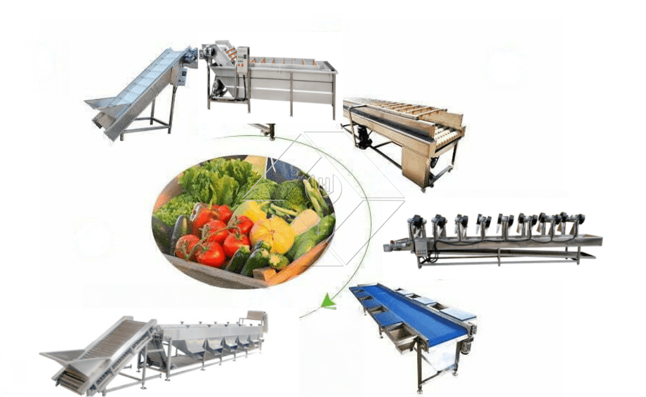 自動果物と野菜の洗浄、乾燥および等級分けラインの処理能力は、通常 300kg/H から 3000kg/H の間です。