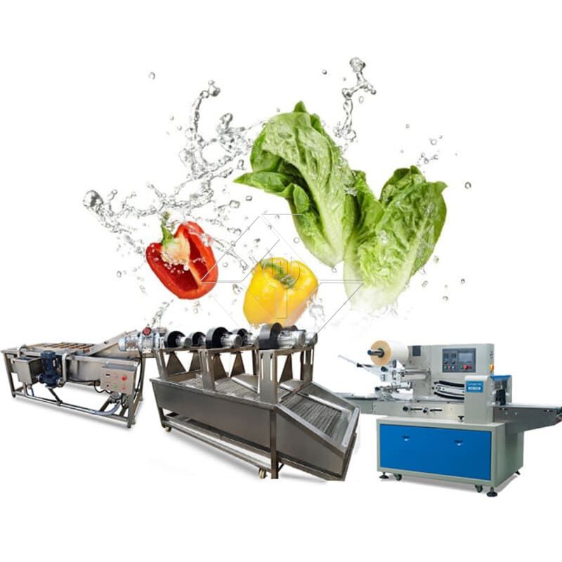 野菜サラダの生産ライン |レタス加工工場