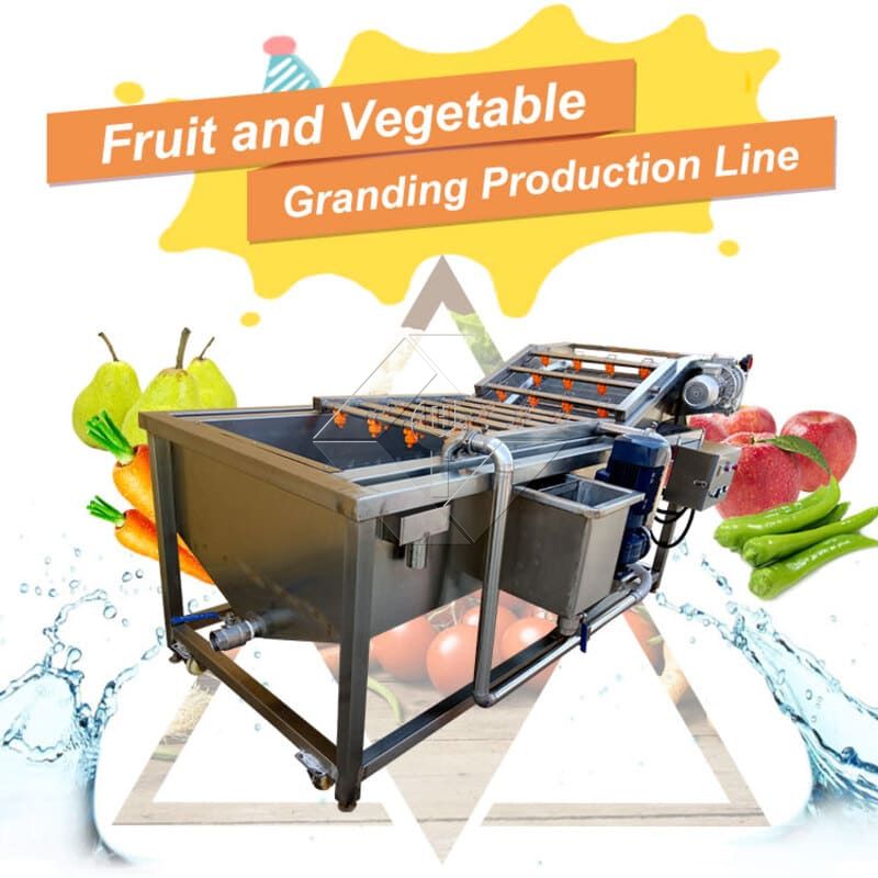 野菜サラダの生産ライン |レタス加工工場