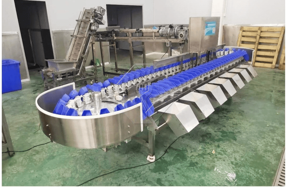 自動果物と野菜の洗浄、乾燥および等級分けラインの処理能力は、通常 300kg/H から 3000kg/H の間です。