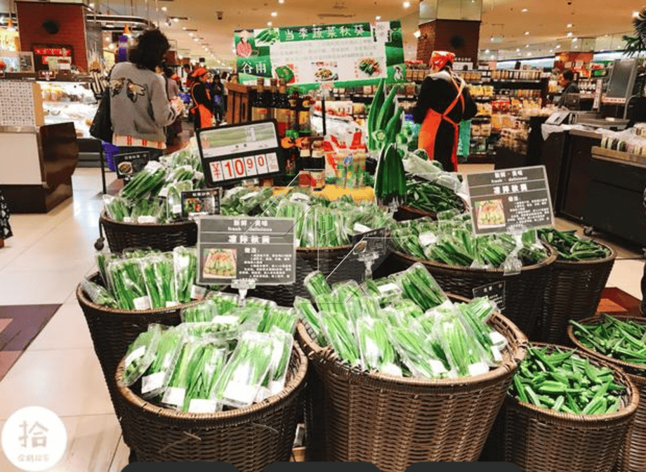 野菜サラダの生産ライン |レタス加工工場