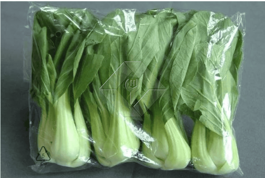野菜サラダの生産ライン |レタス加工工場