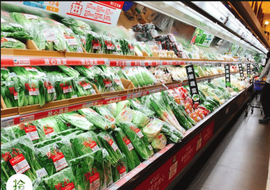 野菜サラダの生産ライン |レタス加工工場