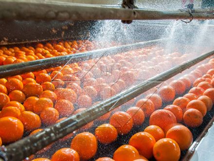 自動果物と野菜の洗浄、乾燥および等級分けラインの処理能力は、通常 300kg/H から 3000kg/H の間です。