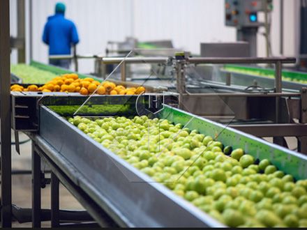 自動果物と野菜の洗浄、乾燥および等級分けラインの処理能力は、通常 300kg/H から 3000kg/H の間です。